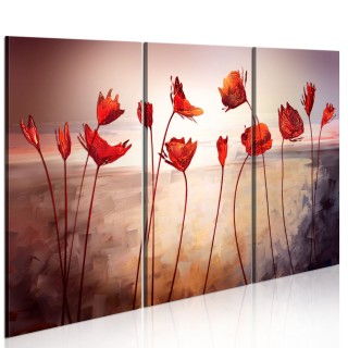 Πίνακας - Bright red poppies