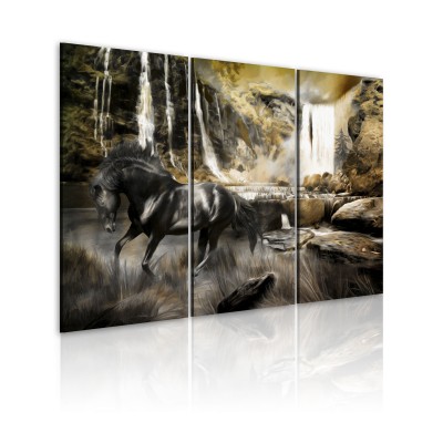 Πίνακας - Black horse and rocky waterfall