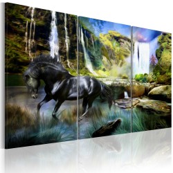 Πίνακας - Horse on the sky-blue waterfall background
