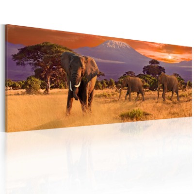 Πίνακας - March of african elephants