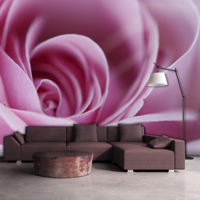 Φωτοταπετσαρία - Pink rose
