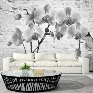 Φωτοταπετσαρία - Orchid in Shades of Gray