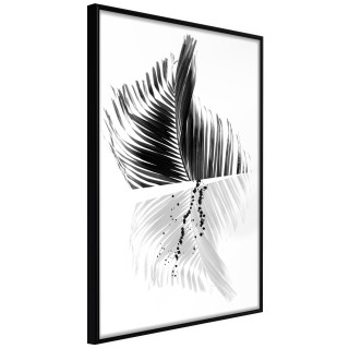Αφίσες Abstract Feather Μαύρη κορνίζα