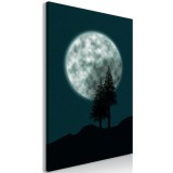 Πίνακας - Beautiful Full Moon (1 Part) Vertical