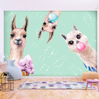 Αυτοκόλλητη φωτοταπετσαρία - Crazy Llamas