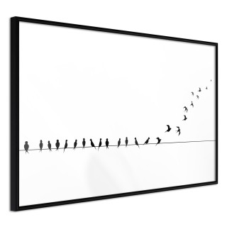 Αφίσες Birds on a Wire Μαύρη κορνίζα
