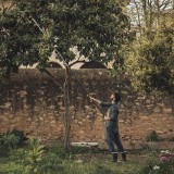 Κλαδευτήρι κορυφής τηλεσκοπικό UPX86  FISKARS 102362102