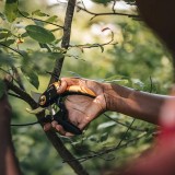 Κλαδευτήρι Bypass P721 Plus Powerlever FISKARS 111117102