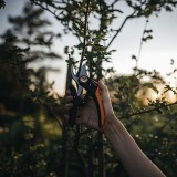 Κλαδευτήρι Bypass P721 Plus Powerlever FISKARS 111117102