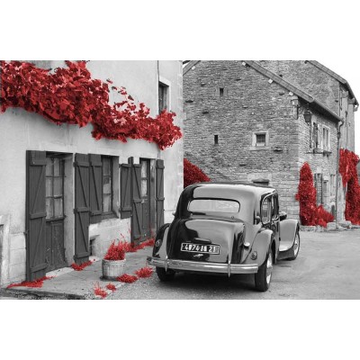 Ρόλερ - Roller Μερικής Συσκότισης ψηφιακής εκτύπωσης 1024-CR