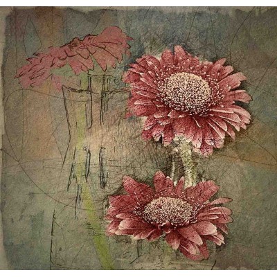 Ρόλερ - Roller Μερικής Συσκότισης ψηφιακής εκτύπωσης 1028-CR