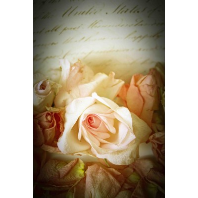 Ρόλερ - Roller Μερικής Συσκότισης ψηφιακής εκτύπωσης 1091-CR