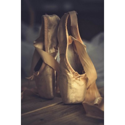 Ρόλερ - Roller Μερικής Συσκότισης ψηφιακής εκτύπωσης 1092-CR