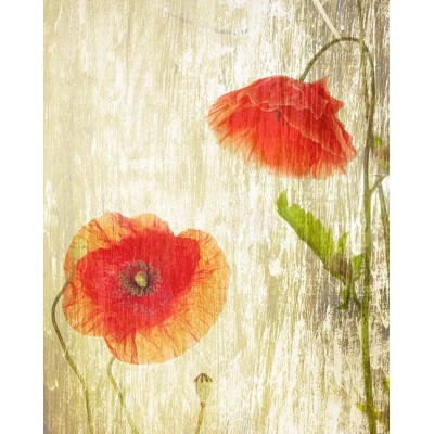 Ρόλερ - Roller Μερικής Συσκότισης ψηφιακής εκτύπωσης 139-DR