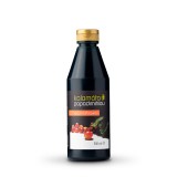 Παπαδημητρίου Κρέμα Βαλσάμικου 500ml