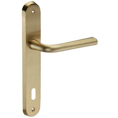 Χερούλι πόρτας με πλάκα σε χρυσό ματ No 65 Viobrass