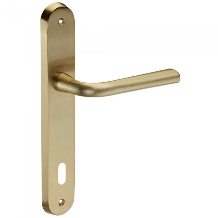 Χερούλι πόρτας με πλάκα σε χρυσό ματ No 65 Viobrass