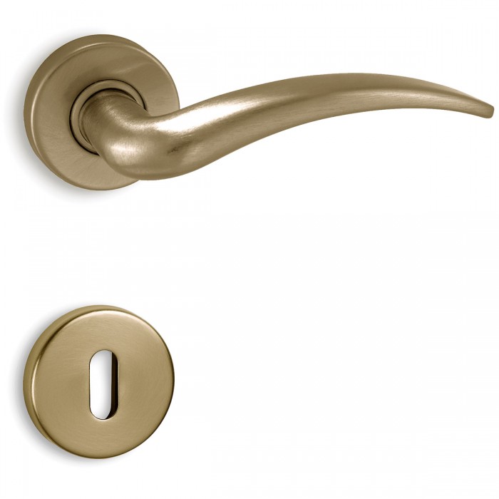 Πόμολα πόρτας χειρολαβή με ροζέτα C435 όρο ματ