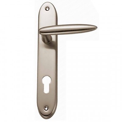 Πόμολα πόρτας χειρολαβή με πλάκα C185 σε Ματ Νίκελ