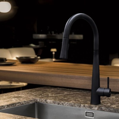 Μπαταρία Κουζίνας Artemis Longevita  308 με ντουζ σε χρώμα Μαύρο ματ