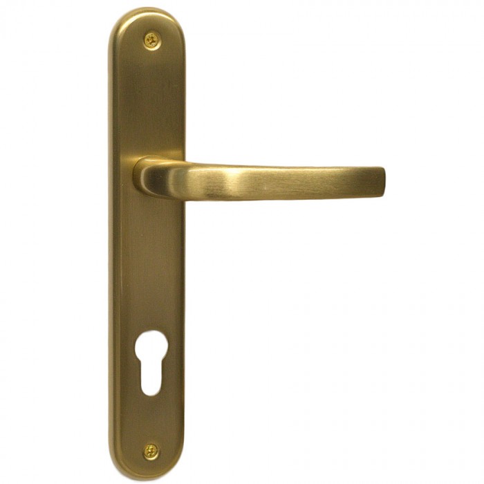 Πόμολο πόρτας χειρολαβή με πλάκα 302 Όρο ματ