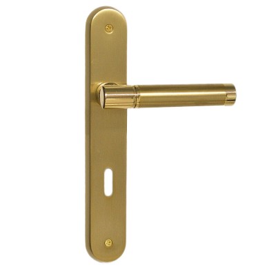 Πόμολο πόρτας χειρολαβή με πλάκα 2161 Όρο ματ / Όρο