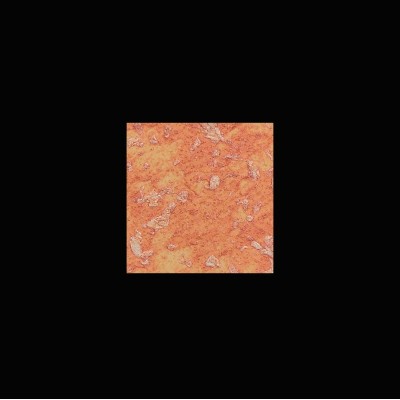 Διακοσμητικό Χρώμα Νερού Τεχνοτροπίας Κωδ. AA-C3 που Eπιτρέπει να αναπαραχθεί το αποτέλεσμα ενός παλαιού τοίχου La Casa dei Sogni Giorgio Graesan σε 1Lit 