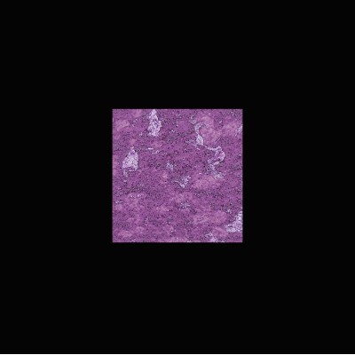 Διακοσμητικό Χρώμα Νερού Τεχνοτροπίας Κωδ. AL-C2 που Eπιτρέπει να αναπαραχθεί το αποτέλεσμα ενός παλαιού τοίχου La Casa dei Sogni Giorgio Graesan σε 1Lit 