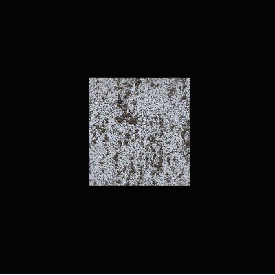 Διακοσμητικό Χρώμα Νερού Τεχνοτροπίας Κωδ. GC-F4 με Βάση Ακρυλικές Ρητίνες και Φυσική Άμμο Fili di Seta Giorgio Graesan σε 1Lit 