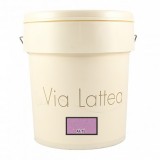 Διακοσμητική Ακρυλική Βαφή Νερού Τεχνοτροπίας Κωδ. AF-T5 με Λευκά Πρόσθετα Μικροσφαιρίδια και Ασημί Στοιχεία Μετάλλου La Via Lattea Giorgio Graesan σε 1Lit