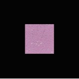 Διακοσμητική Ακρυλική Βαφή Νερού Τεχνοτροπίας Κωδ. AF-T5 με Λευκά Πρόσθετα Μικροσφαιρίδια και Ασημί Στοιχεία Μετάλλου La Via Lattea Giorgio Graesan σε 1Lit