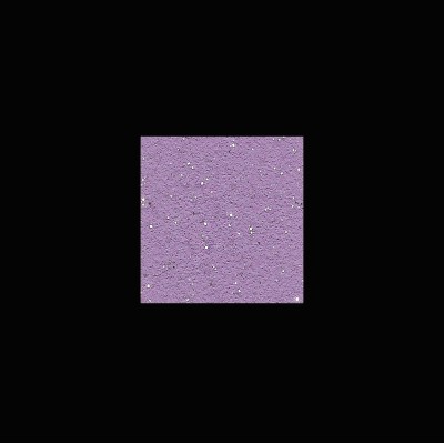 Διακοσμητική Ακρυλική Βαφή Νερού Τεχνοτροπίας Κωδ. AL-T4 με Λευκά Πρόσθετα Μικροσφαιρίδια και Ασημί Στοιχεία Μετάλλου La Via Lattea Giorgio Graesan σε 1Lit 