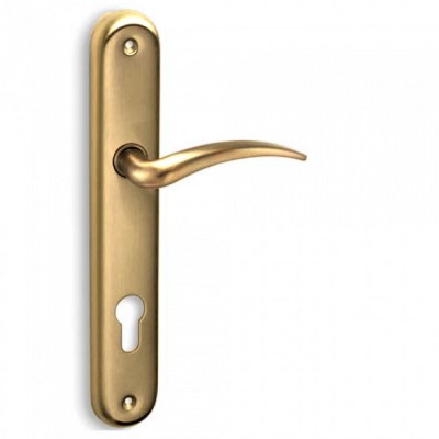 Πόμολα πόρτας χειρολαβή με πλάκα C435 σε Ματ Όρο