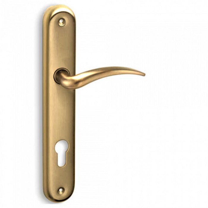 Πόμολα πόρτας χειρολαβή με πλάκα C435 σε Ματ Όρο