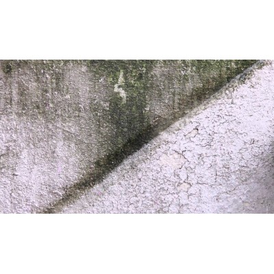 Αντιμουχλικό - Μυκητοκτόνο πρόσθετο χρωμάτων Συμπυκνωμένο Glutoclean AF 250ml