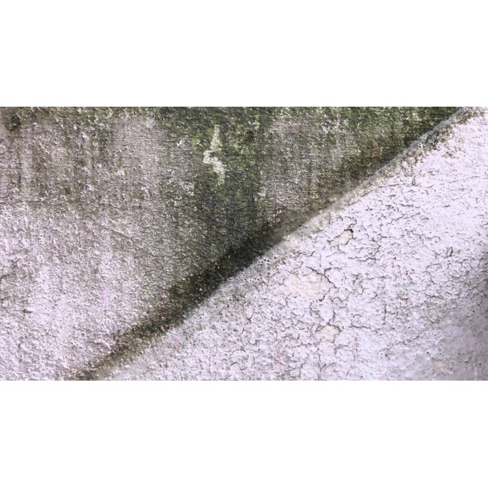 Αντιμουχλικό - Μυκητοκτόνο πρόσθετο χρωμάτων Συμπυκνωμένο Glutoclean AF 250ml