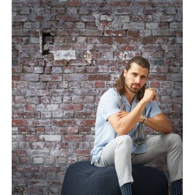 Φωτοταπετσαρία Τοίχου  «A.S. Création» «Metropolitan Stories The Wall» «THE WALL» 383371«Stone, Brown, Grey, Red»(159cm x 280 cm ) 