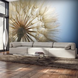 Πικραλίδες