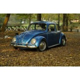 Ρόλερ - Roller Μερικής Συσκότισης ψηφιακής εκτύπωσης 456-CR