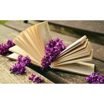 Ρόλερ - Roller Μερικής Συσκότισης ψηφιακής εκτύπωσης 509-CR