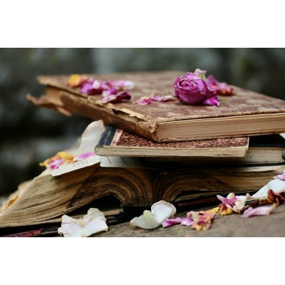 Ρόλερ - Roller Μερικής Συσκότισης ψηφιακής εκτύπωσης 510-CR