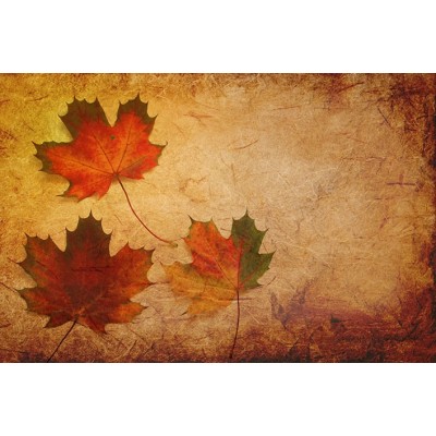 Ρόλερ - Roller Μερικής Συσκότισης ψηφιακής εκτύπωσης 516-CR