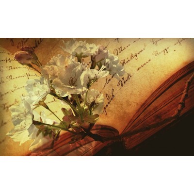 Ρόλερ - Roller Μερικής Συσκότισης ψηφιακής εκτύπωσης 517-CR