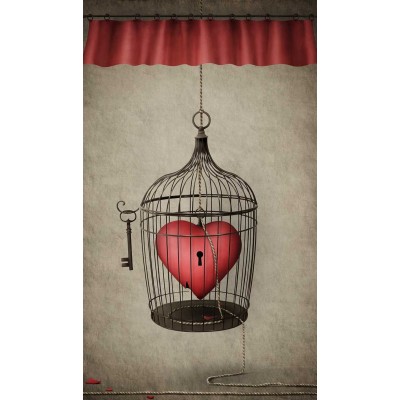 Ρόλερ - Roller Μερικής Συσκότισης ψηφιακής εκτύπωσης 535-SR