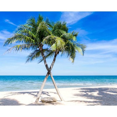 Ρόλερ - Roller Μερικής Συσκότισης ψηφιακής εκτύπωσης 572-CR