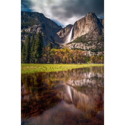 Ρόλερ - Roller Μερικής Συσκότισης ψηφιακής εκτύπωσης 792-CR