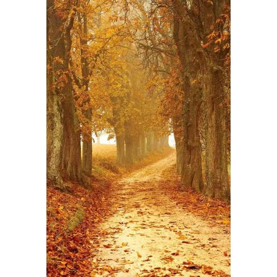 Ρόλερ - Roller Μερικής Συσκότισης ψηφιακής εκτύπωσης 794-CR