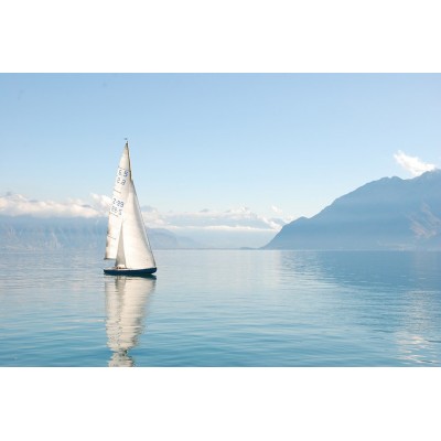 Ρόλερ - Roller Μερικής Συσκότισης ψηφιακής εκτύπωσης 796-CR