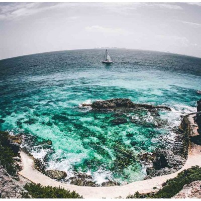 Ρόλερ - Roller Μερικής Συσκότισης ψηφιακής εκτύπωσης 800-CR