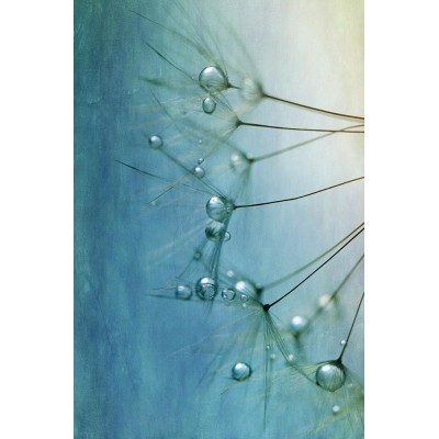 Ρόλερ - Roller Μερικής Συσκότισης ψηφιακής εκτύπωσης 803-CR